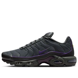 Nike Air Max Plus Iron Grey Wild Grape HV8066-001