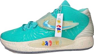 Nike x Enspire KD 14 Friends & Family - Aurora Green DV2098-300