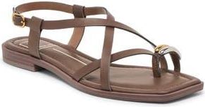Dolce Vita Idalis Toe Loop Sandal in Dark Brown Stella at Nordstrom Rack, Size 6.5