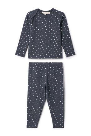 Fragile Boy Bird Print 2 Piece French Fleece Top and Pants Set in Navy at Nordstrom, Size 18M