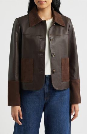 Bernardo Short Mixed Media Leather Jacket in Chocolate at Nordstrom, Size X-Large