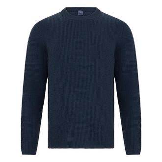Fedeli Truien & Vesten, Heren, Blauw, L, Wol, Crew Neck Sweater