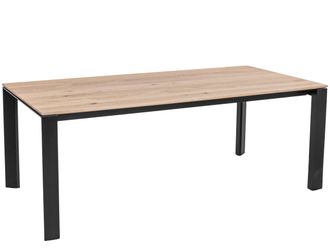 Schubiger M&ouml;bel Esstisch Delta