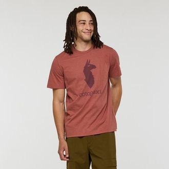 Cotopaxi Llama T-Shirt - Mens in Nutmeg at Nordstrom, Size Xx-Large