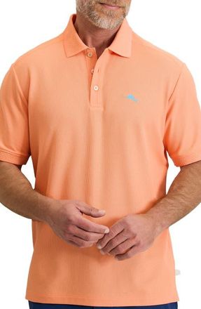 Tommy Bahama Emfielder Icon Solid IslandZone Polo in Peach Parrot at Nordstrom, Size Xxx-Large