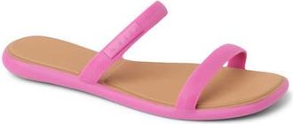 Reef Water Willow Marina Slide Sandal in Cone Flower at Nordstrom, Size 10