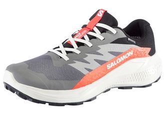 Salomon Laufschuh SALOMON ALPHAGLIDE GORE-TEX, Herren, Gr. 42,5, castlerock, lunar rock, cherry tomato, Synthetik, Textil, Schuhe Laufschuh, wasserdicht