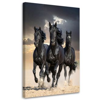 Feeby Cuadro En Lienzo, Caballos Negros Galopando Naturaleza, 80x120