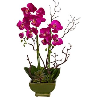Nearly Natural Orchid & Succulent Floral Arrangement in Dark Pink/green at Nordstrom