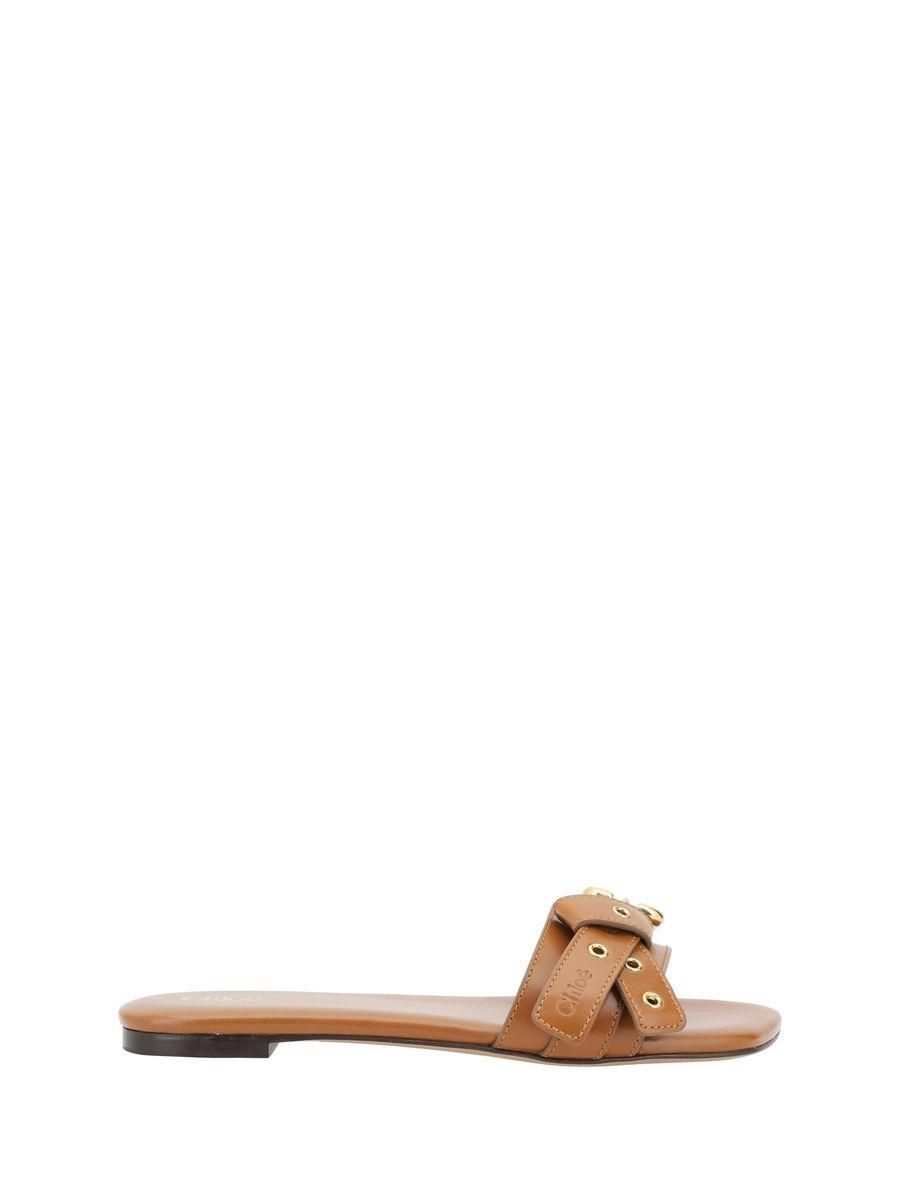 Brown Chloé Leather Sandals: Shop up to −75% | Stylight