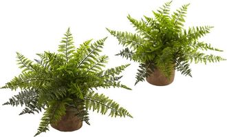 Nearly Natural 15-in Ruffle Fern Bush with Burlap Base in Green at Nordstrom
