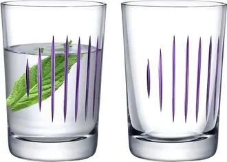 Nude Glass Parrot Clear Water Glasses (Set Of 2)