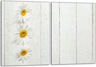 OEM Placa Protectora De Vidrio Para Estufa 2x40x52 Le&ntilde;a