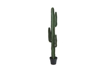 Vente-Unique Albero Artificiale Cactus - L.26 X P.20 X H.145 Cm - Verde - Guada