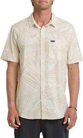 Quiksilver Aruba Palms Print Regular Fit Short Sleeve Cotton Button-Up Shirt in Snow White at Nordstrom Rack, Size Xx-Large