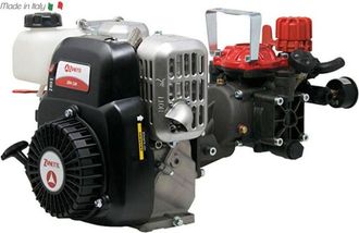 Zanetti Motobomba Pulverizadora De Gasolina Zanetti Zen25i Con Bomba Annovi Reverberi Ar252