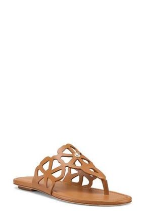 Stuart Weitzman Jasmine Cutout Sandal in Macchiato at Nordstrom Rack, Size 11