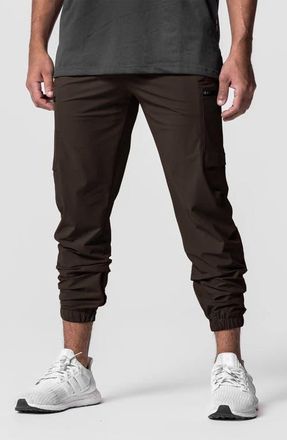 ASRV Tetra Lite Standard Zip Jogger in Dark Earth at Nordstrom, Size Medium