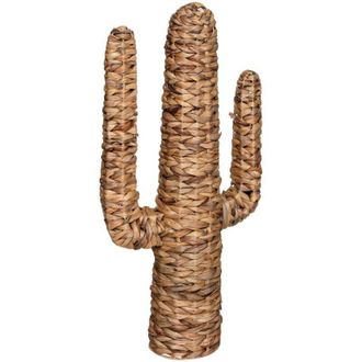 Atmosphera Atmosphera - Cactus &laquo;hacienda&raquo; - Jacinto De Agua H75 Cm Cr&eacute;ateur DInt&eacute;rieur
