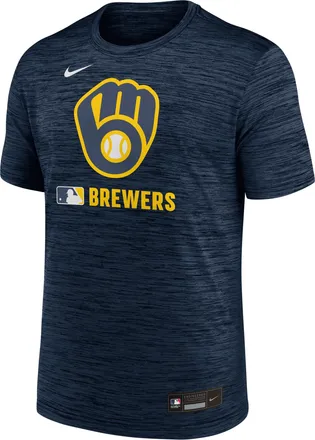 Nike Milwaukee Brewers Authentic Collection Velocity Nike Mens Dri-FIT MLB T-Shirt in Blue | 02ER44BMZB-WLZ
