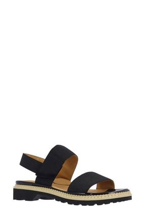 L'Amour Des Pieds Delphina Ankle Strap Sandal in Black at Nordstrom, Size 5.5