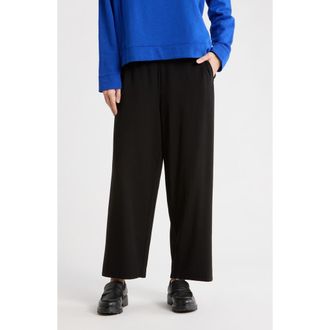Eileen Fisher Straight Leg Ankle Pants in Black at Nordstrom Rack, Size Xx-Small