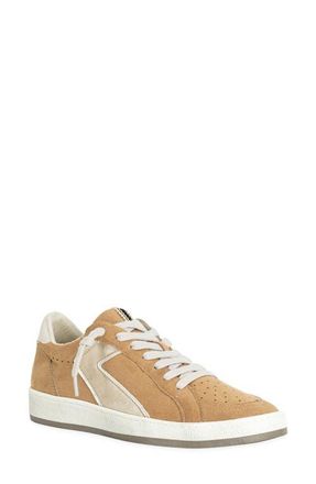 Shushop Salma Sneaker in Beige Suede at Nordstrom, Size 7.5
