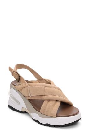 Ash Delia Slingback Wedge Sandal in Desert at Nordstrom, Size 10Us