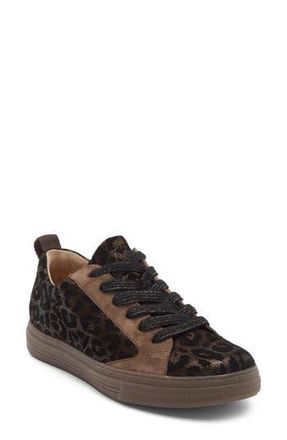 Paul Green Capri Sneaker in Bronze Earth Combo at Nordstrom Rack, Size 8Us/ 5.5Uk
