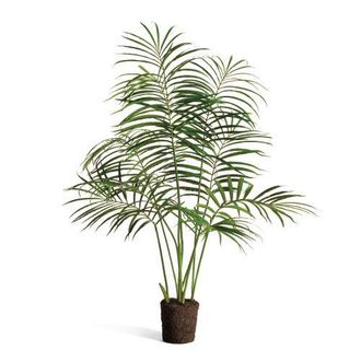 Napa Home & Garden Palm Tree Drop-In 50 in Green at Nordstrom