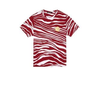 Roberto Cavalli Zebra Print Cotton T-Shirt, Size X-Small