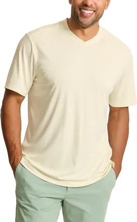 Tommy Bahama Bay Stripe V-Neck T-Shirt