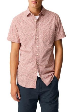 Rodd & Gunn Collingwood Button-Up Cotton Shirt in Burnt Orange at Nordstrom, Size Xxx-Large