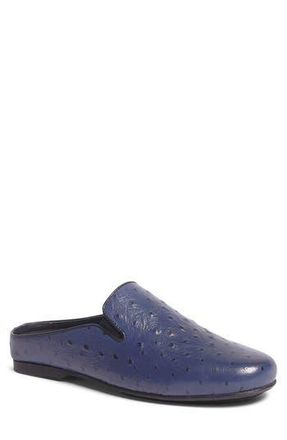 Carlos By Carlos Santana Achilles Ostrich Embossed Leather Mule in Blue at Nordstrom Rack, Size 10.5