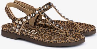 Pedro Garcia Leopard suede crystal studded thong sandal | Judith | Fall-winter 26 |