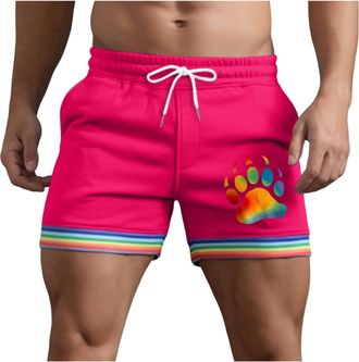 Generic Pride Shorts for Men Pride Month Rainbow Shorts Summer Casual Loose GayLgbtqi+Boxer Brief Activewear Bottoms Novely BoxerOutfitsParade Outfits Holiday