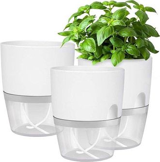 OEM 3 Piezas, Macetas Con Autorriego, 15 Cm, Macetas Transparentes Para Trasplantar Y Cultivar Plantas, Blancas