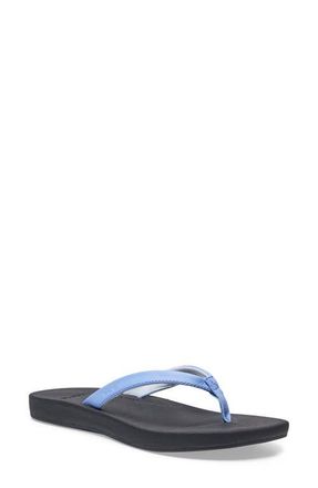 Sanuk Cosmic Shores Water Friendly Flip Flop in Hydrangea at Nordstrom, Size 10