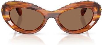 Swarovski 51mm Cat Eye Sunglasses in Striped Havana /Dark Brown at Nordstrom