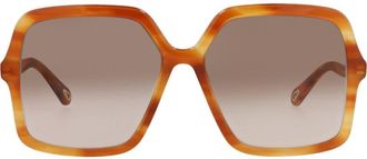Chlo&eacute; 59mm Butterfly Sunglasses in Havana Havana Brown at Nordstrom Rack