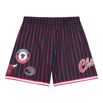 Mitchell & Ness x NBA City Collection Mesh Shorts Chicago Bulls PSHR5013-CBUYYPPPBKRD
