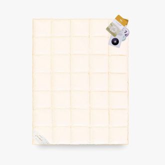 OEM Edred&oacute;n Plum&oacute;n De Ganso 70% 220x200 Basic Plus 2500g Premium Crema C&aacute;lido