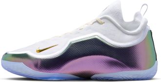 Nike Mens LeBron XXIII Elite For the Record Basketball Shoes in White | IB9557-100