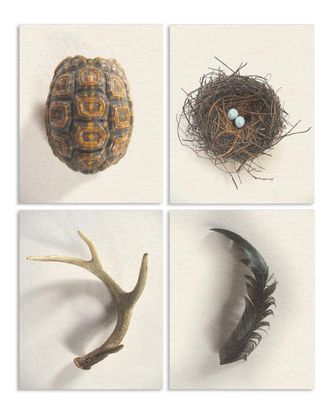 Stupell Industries Woodland Found Objects By Daphne Polselli