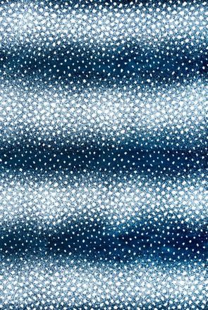 Jonathan Y Designs Antelope Modern Animal Area Rug in Navy/cream at Nordstrom, Size 5Ft 0In X 8Ft 0In