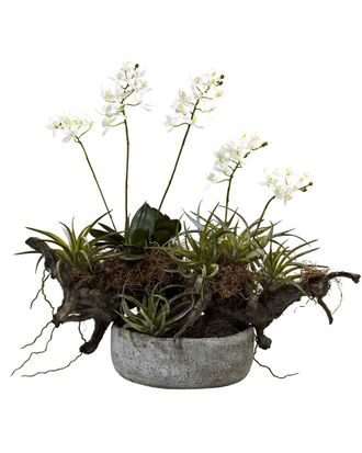 Nearly Natural Orchid & Succulent Garden