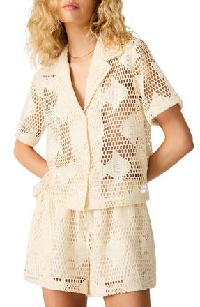 Steve Madden Sandra Fish Sheer Lace Camp Shirt in Ivory at Nordstrom, Size X-Small