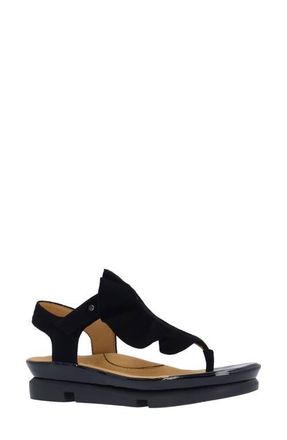 L'Amour Des Pieds Vendala Ankle Strap Sandal in Black at Nordstrom, Size 8.5