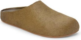 Matisse Footwear Daria Genuine Calf Hair Mule in Moss at Nordstrom, Size 10
