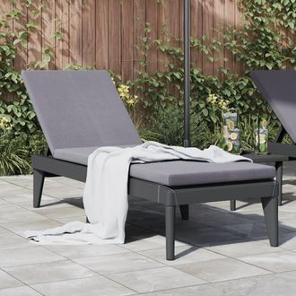 vidaXL Tumbona De Pp Gris Antracita 186x60x29 Cm Vidaxl